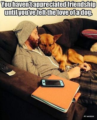 Unconditional love  #XZEmpire #XZAnimals #Puppers #dogstagram #GoodBoy #GoodestBoy #Dogsofinstagram #Furbaby #Furbabies #Pets #Petstagram  #Animals #Dog #Dogs #Doggy #Doggo #Puppy #Love #Unconditional #DogLove #Friendship #Friends
