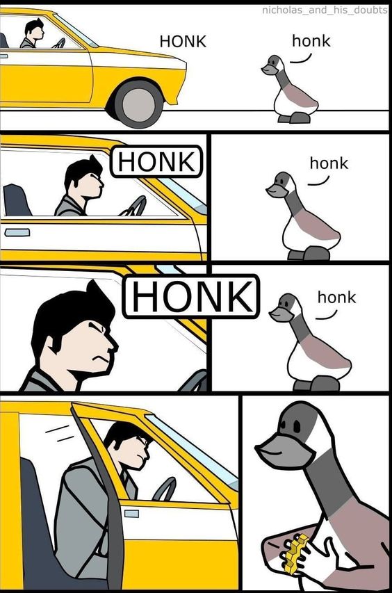 Never honk at ducks….  or else.   #XZEmpire #XZAnimals #Animals #Bird #Birds #Petstagram #Honk #Ducks #Brass #BrassKnuckles #Fight #GetReady #GetWrecked #KnockOut #LateForWork #Late #DontBeLate