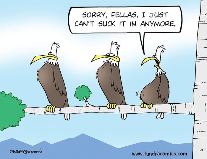 Can’t do it! #XZEmpire #XZAnimals #Animals #Bird #Birds #Petstagram #Pets #Gut #CantDoIt #Fellas #Suck #Comics #Funny #Humor #Comedy #Lol #Laugh