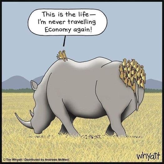Economy pheasants!  #Peasants #Pheasants #XZEmpire #XZAnimals #Animals #Bird #Birds #Petstagram #Economy #Airtravel #Airplane #Rhino #WildLife #Broke #Poor #Rich #Travel #World