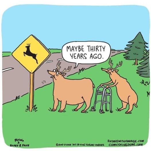 Back in my day!  #Animals #WeightGain #BackInTheDay