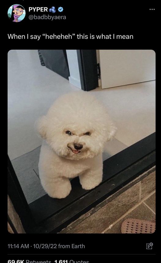 She knows what she did it!